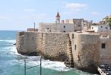 Acre One Day Tour